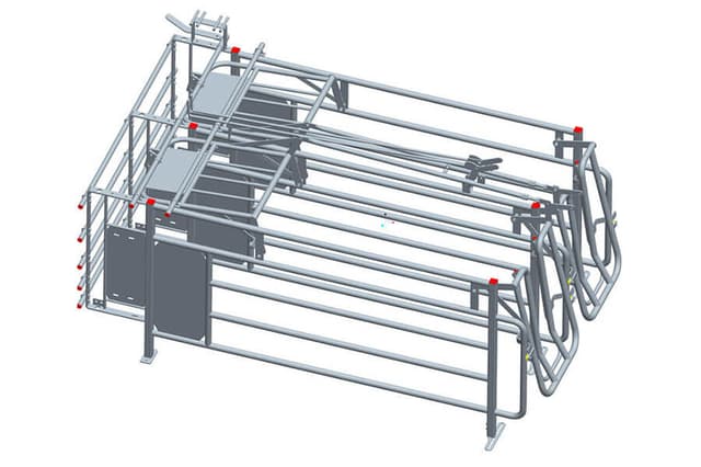 Pig Gestation Crates