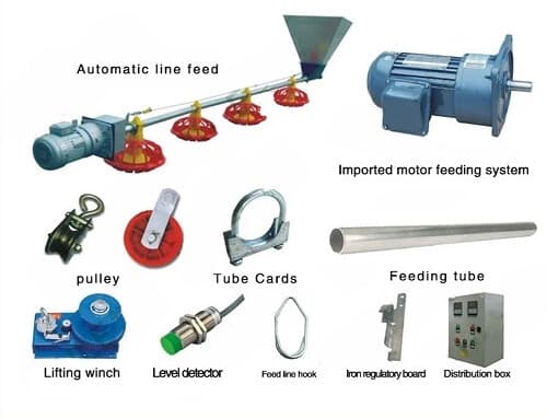 Feeding Line