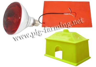 piglet heat pad