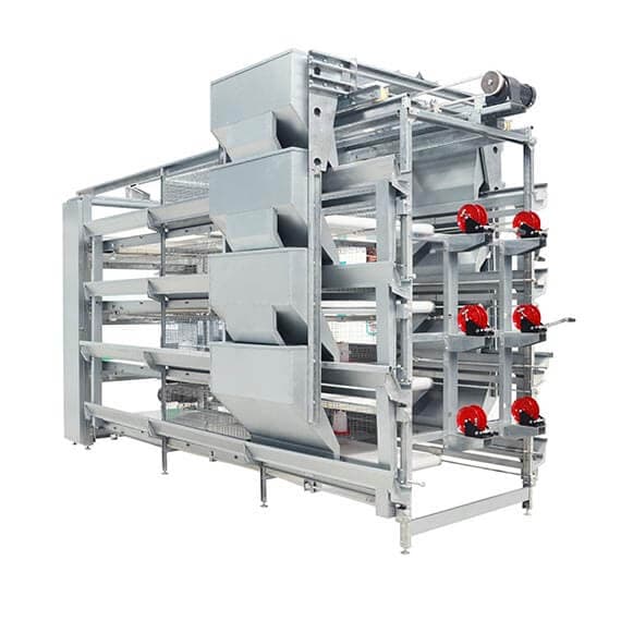 h type pullet chicken cage
