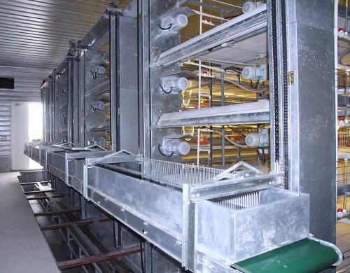 Automatic Bird Harvesting System