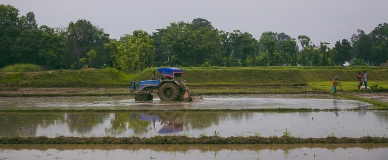 Paddy Seeding