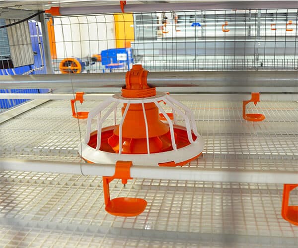 broiler feeding and watering system