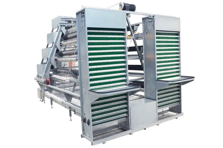 Automatic A Type Layer Chicken Cage
