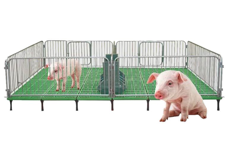 Piglet Nursery Crate