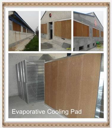 evaporative cooling pad application