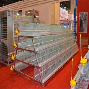 baby chicks battery cage