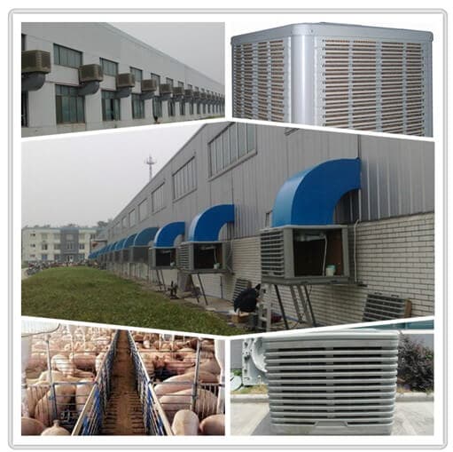pig farming evaporative cooling