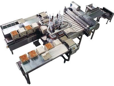 Egg Grading and Packing Machine