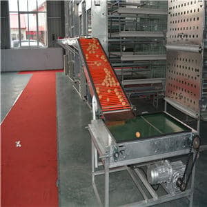 egg washing machine