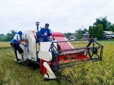 small tank paddy harvester