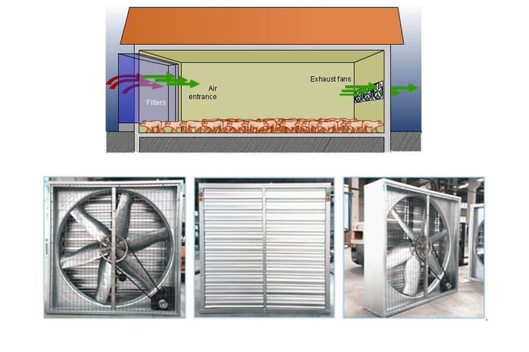 Negative Pressure Fan for Piggery