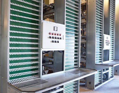 H Type Egg Collecting Machine