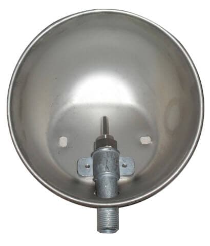 pig drinking bowl