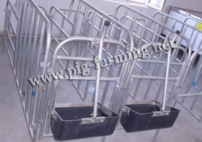 Pig Gestation Crate
