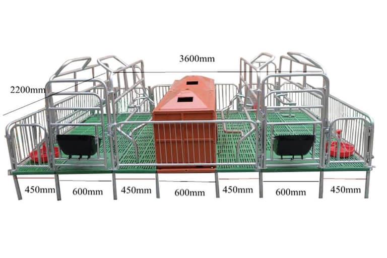 Pig Farrowing Crate