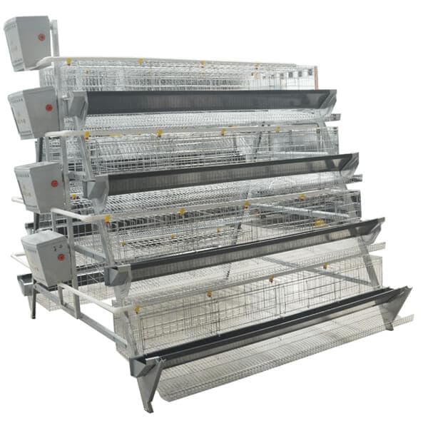 a type manual chicken cage