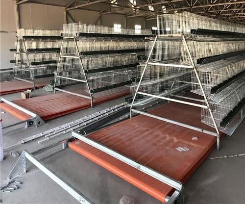 Poultry Manure Rmoval System