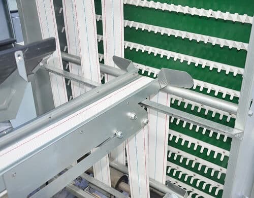 Egg Collecting Belt