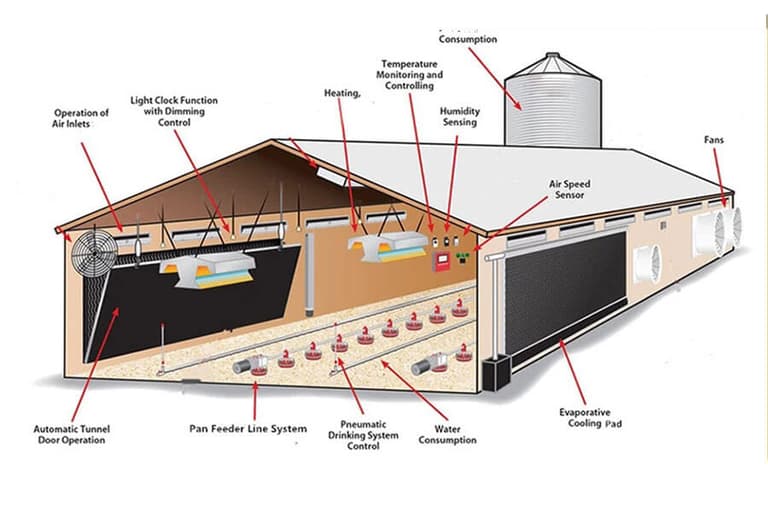 Broiler Plastic Floor Raising System