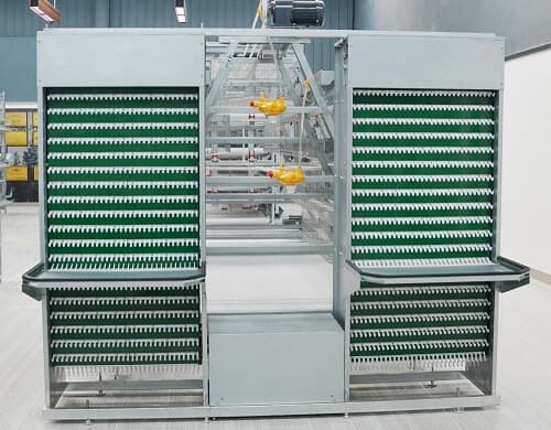 A Type Egg Collecting Machine