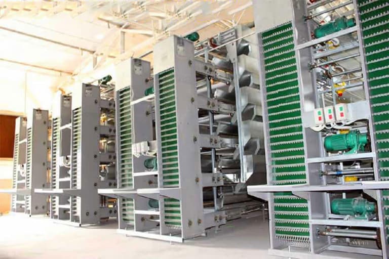 Egg Collection System