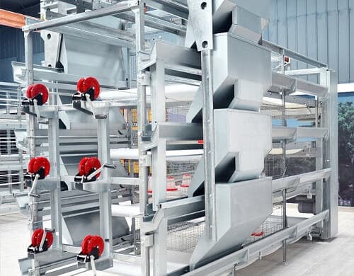 Feeding System H Type Pullet Chicken Cage