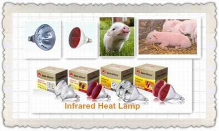 Infrared Heat Lamp