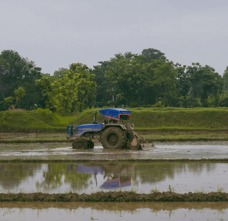 Paddy Seeding