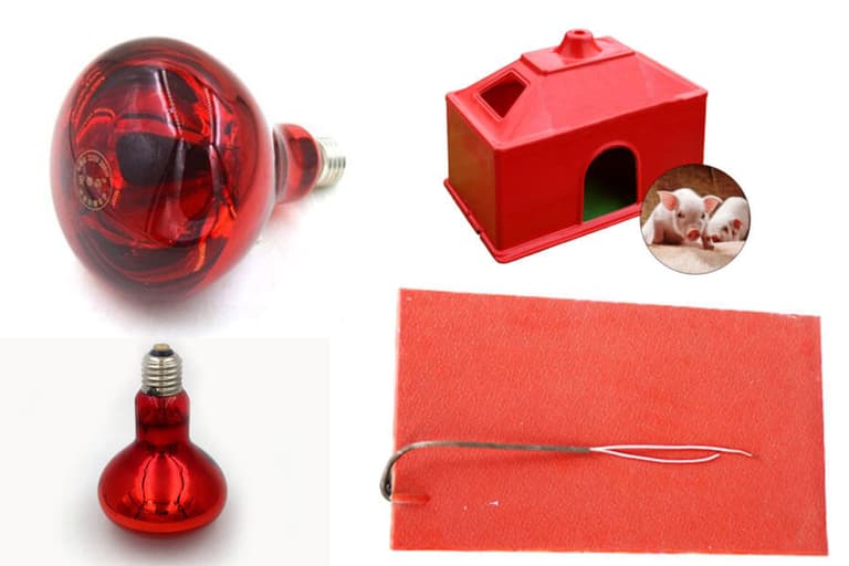 Piglet Heat Lamp / Incubator