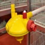 water pressure regulator