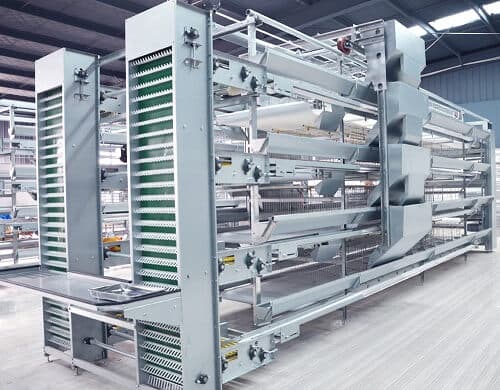 Feeding System H Type Layer Chicken Cage